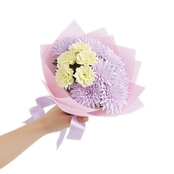Petal Harmony Bliss