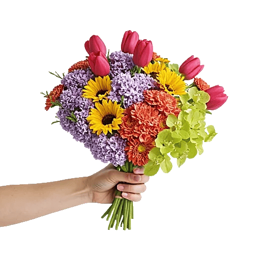 Blossom Harmony Display