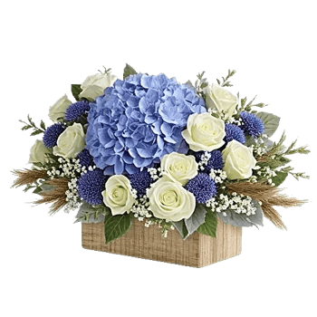 Serene Petal Harmony