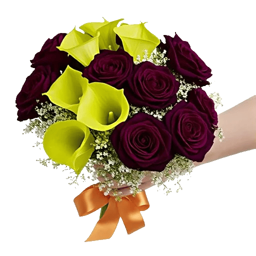 Elegant Calla Lilies