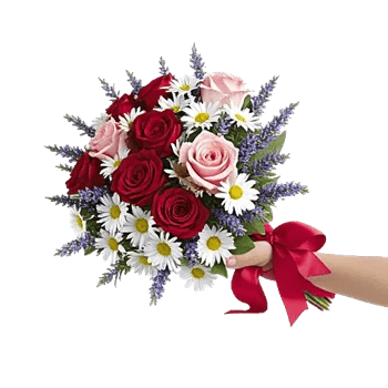 Blushing Rose Symphony