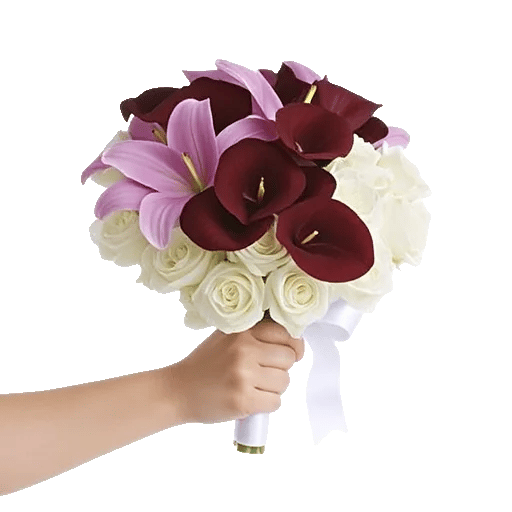 Elegant Calla Lilies