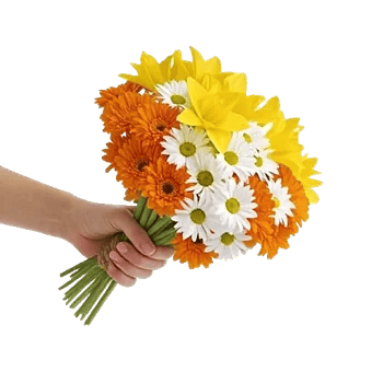 Blossom Harmony Display