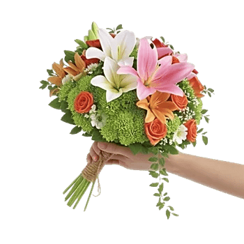 Blushing Rose Symphony