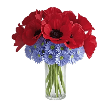 Petal Radiance Bliss