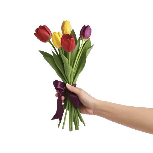 Scarlet Tulip Splendor