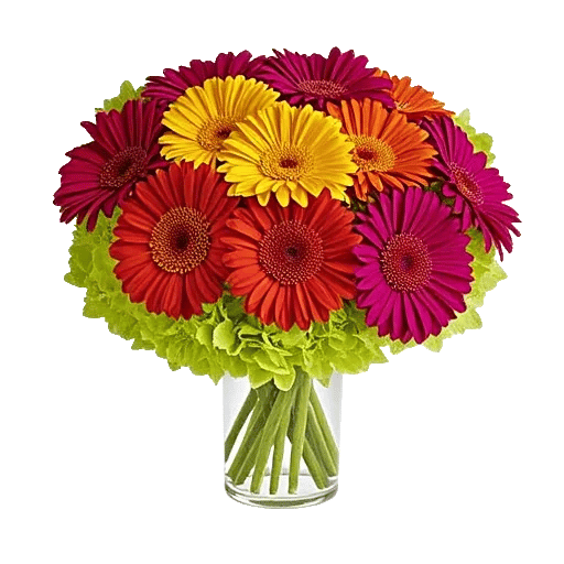 Blossom Glow Symphony