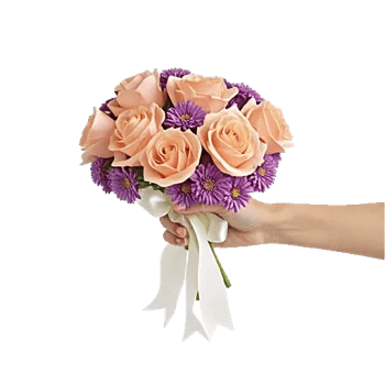 Petal Grace Harmony