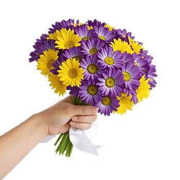 Enchanting Daisy Garden