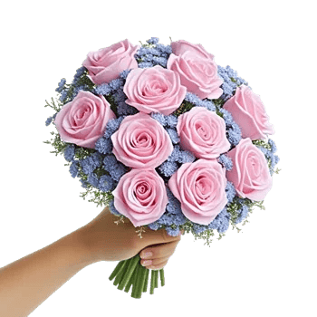 Pastel Pink Roses