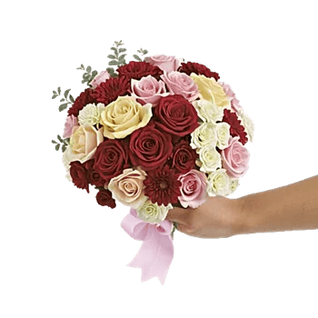 Blushing Rose Symphony