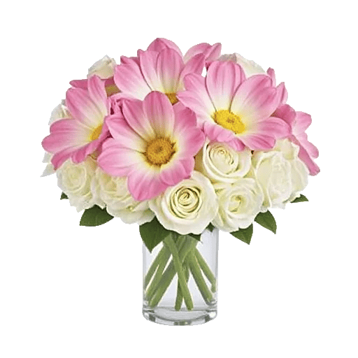 Orchid Bloom Cascade