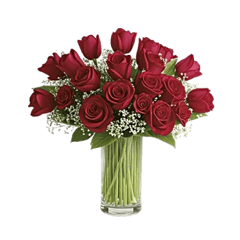 Velvet Tulip Display