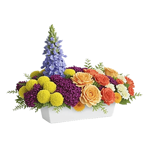 Blossom Petal Serenity