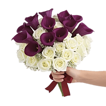 Elegant Calla Lilies