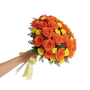 Radiant Rose Symphony