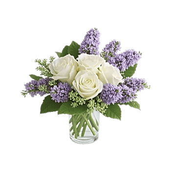 Pearl Rose Elegance