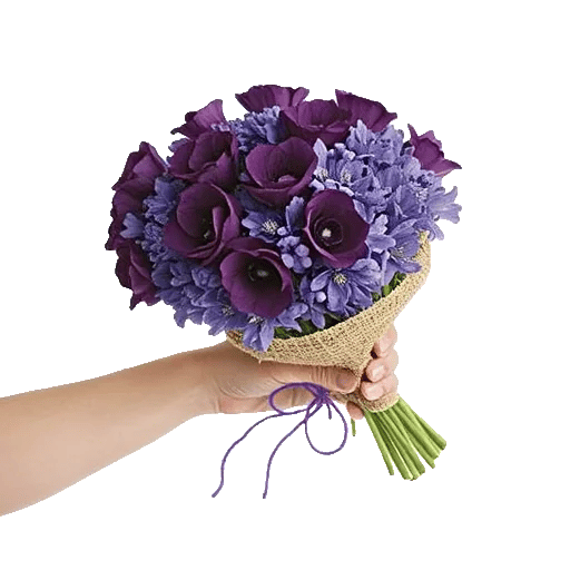 Blushing Rose Symphony