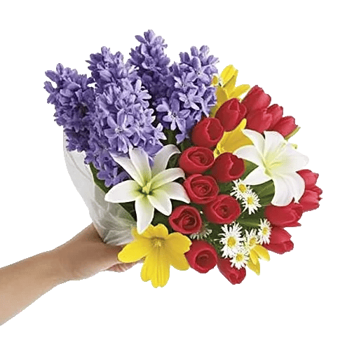 Blossom Harmony Display