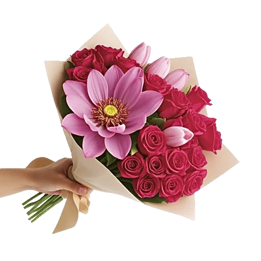 Blossom Petal Serenity