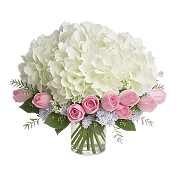 Serene Petal Harmony