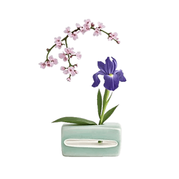 Ivory Blossom Radiance