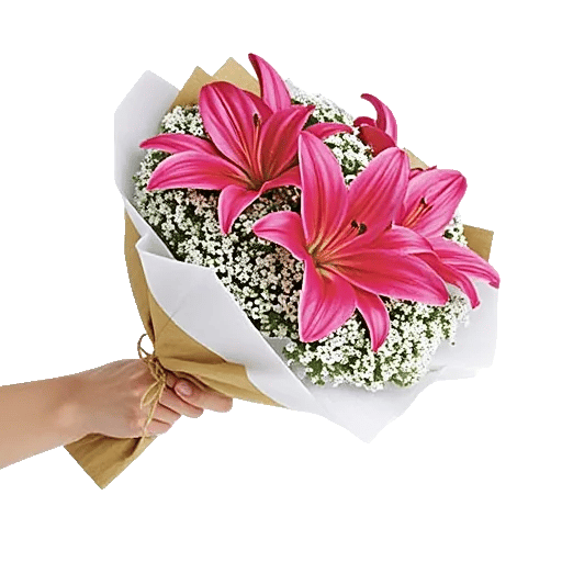 Blossom Petal Serenity