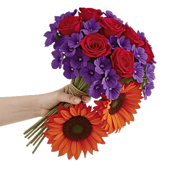 Petal Radiance Bliss