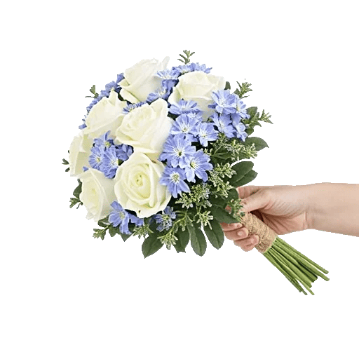 Blossom Petal Serenity