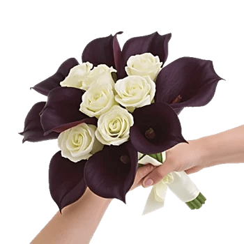 Elegant Calla Lilies