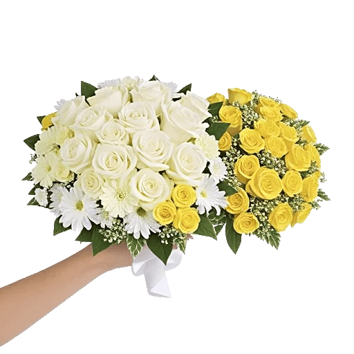 Ivory Garden Grace