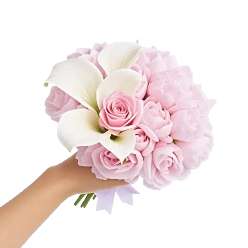 Blushing Rose Symphony