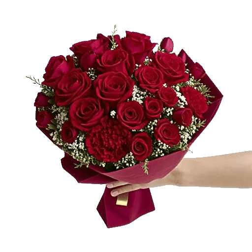 Crimson Rose Elegance