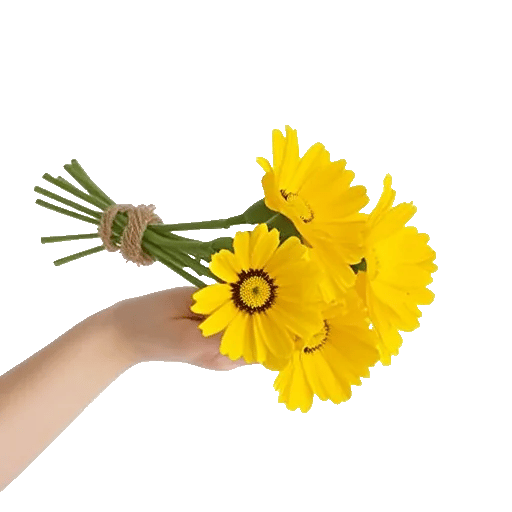 Golden Petal Harmony