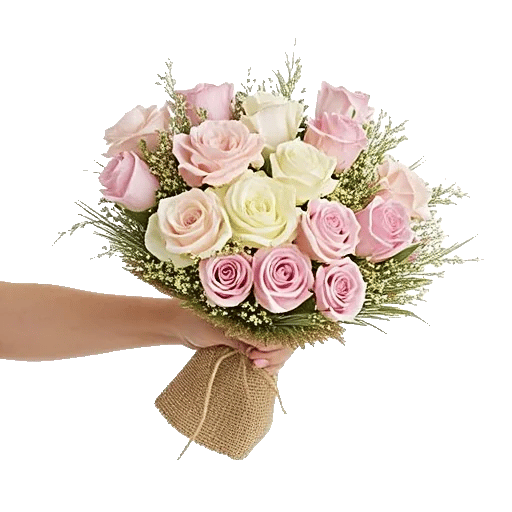 Pastel Pink Roses