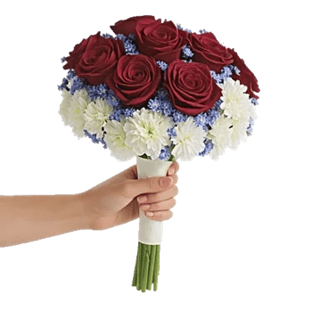 Blushing Rose Symphony