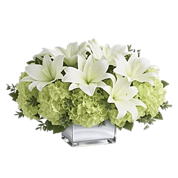 Graceful Lily Display