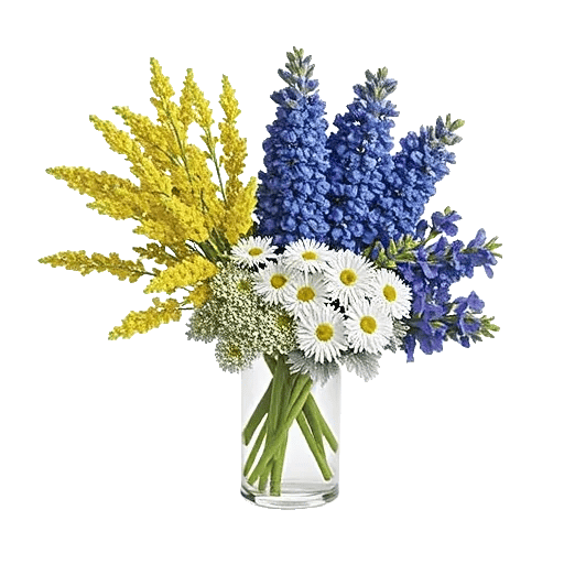 Azure Sky Blooms