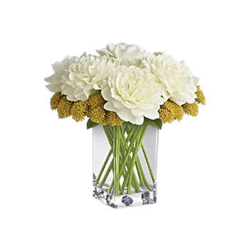 Ivory Blossom Radiance