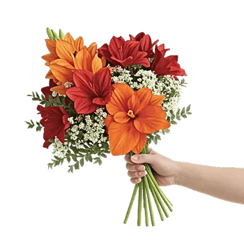 Blossom Glow Symphony