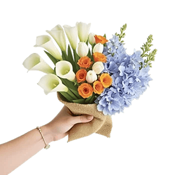 Elegant Calla Lilies