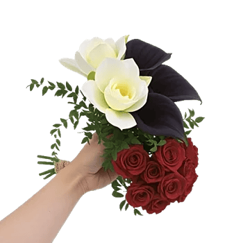 Elegant Calla Lilies