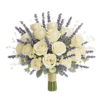 Ivory Garden Grace