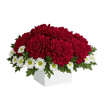 Crimson Rose Elegance