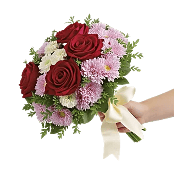 Crimson Rose Elegance