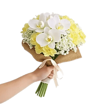 Modern White Orchids