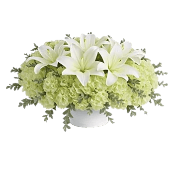 Graceful Lily Display