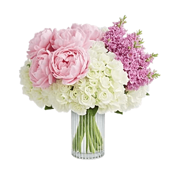 Petal Radiance Bliss