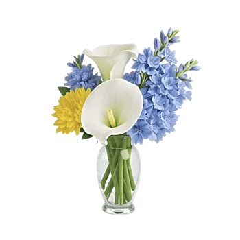 Elegant Calla Lilies