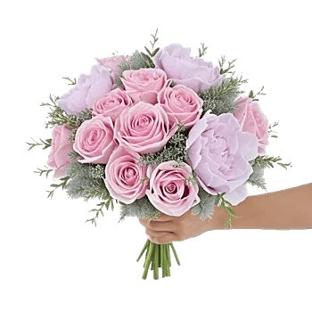 Pastel Pink Roses